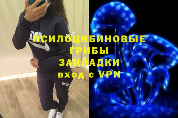 PSILOCYBIN Аркадак