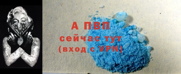 PSILOCYBIN Аркадак