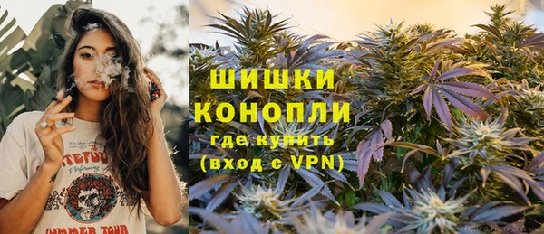 PSILOCYBIN Аркадак