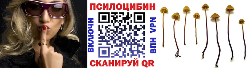 Псилоцибиновые грибы мицелий Сычёвка