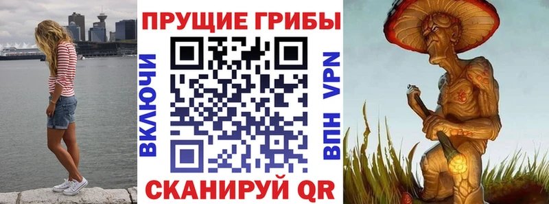 Псилоцибиновые грибы мицелий  Сычёвка 